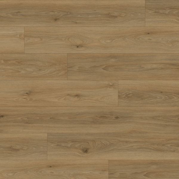 ���� ������� ������� K031 �����